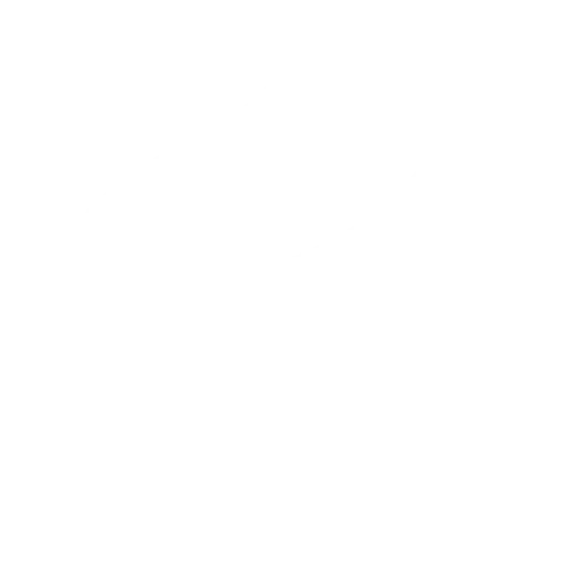 The Revival Academy